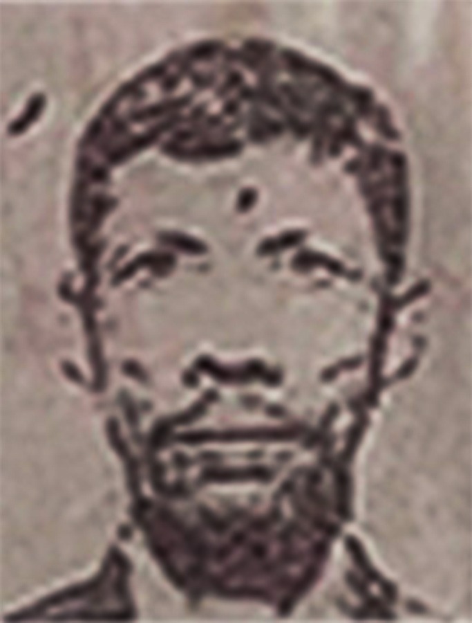 Portrait of Ismail, 46